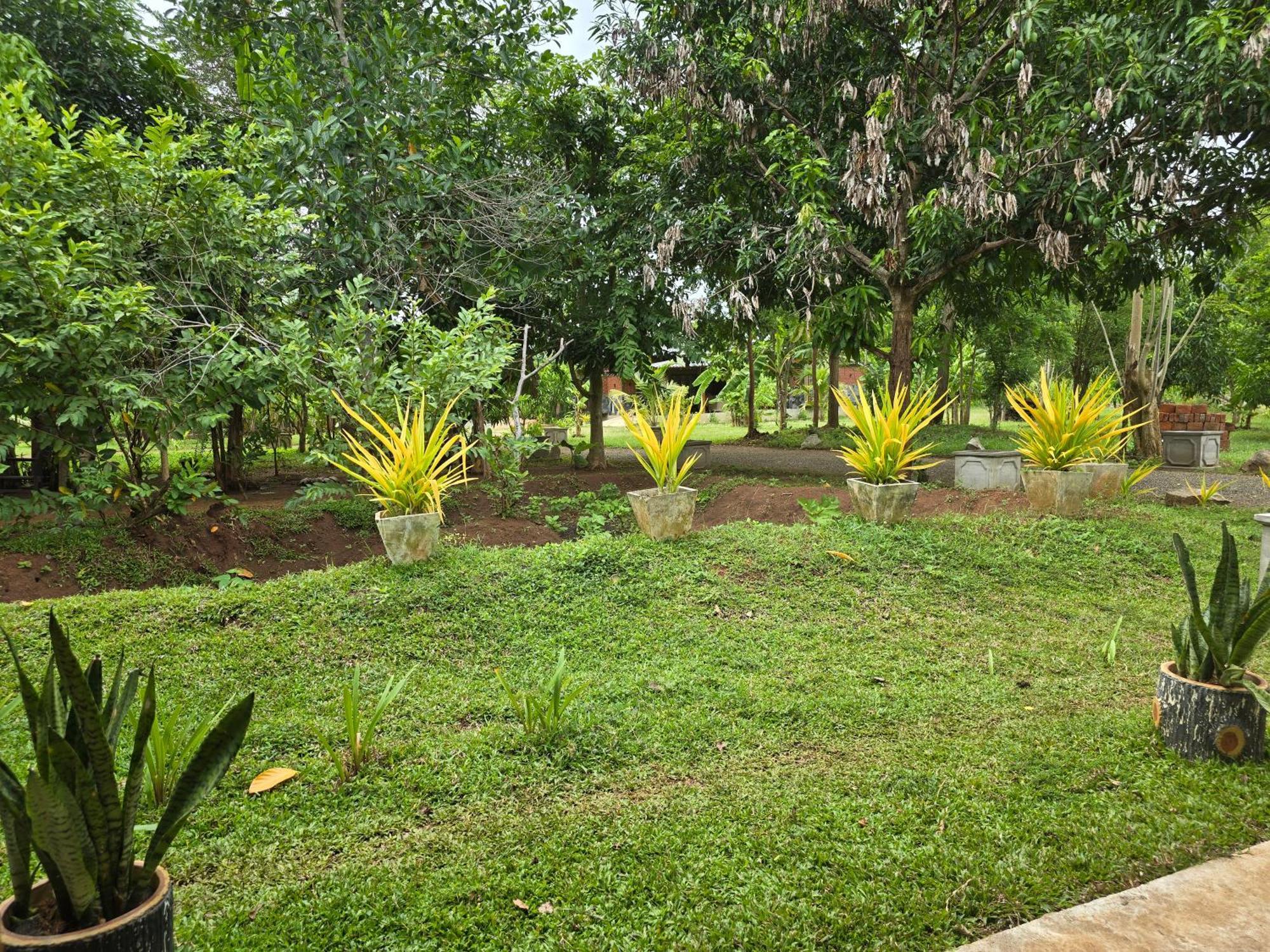 Ceylon Resort Wilpattu Exterior foto